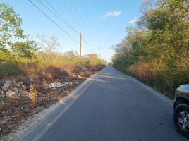  Land for sale in Seye, Yucatan, Seye