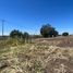  Land for sale in Texcoco, Mexico, Texcoco