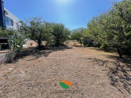  Land for sale in Santa Maria, Cordoba, Santa Maria