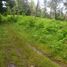  Land for sale in Selemadeg, Tabanan, Selemadeg