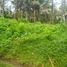  Land for sale in Selemadeg, Tabanan, Selemadeg