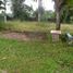  Land for sale in Selemadeg, Tabanan, Selemadeg