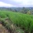  Land for sale in Selemadeg, Tabanan, Selemadeg