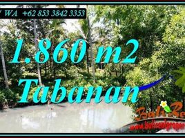  Land for sale in Selemadeg, Tabanan, Selemadeg