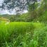  Terreno (Parcela) en venta en San Pedro De Vilcabamba, Loja, San Pedro De Vilcabamba, Loja, Loja