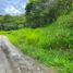  Terreno (Parcela) en venta en San Pedro De Vilcabamba, Loja, San Pedro De Vilcabamba, Loja, Loja
