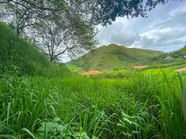  Terreno (Parcela) en venta en San Pedro De Vilcabamba, Loja, San Pedro De Vilcabamba, Loja, Loja