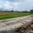 3 Bedroom House for sale in Ginyar, Bali, Ginyar