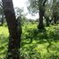  Land for sale in Tepeji Del Rio De Ocampo, Hidalgo, Tepeji Del Rio De Ocampo