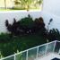 4 Schlafzimmer Haus zu verkaufen in Boca Del Rio, Veracruz, Boca Del Rio, Veracruz