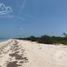  Grundstück zu verkaufen in Celestun, Yucatan, Celestun