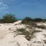  Grundstück zu verkaufen in Celestun, Yucatan, Celestun