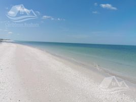  Grundstück zu verkaufen in Celestun, Yucatan, Celestun