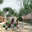  Land for sale in Sinanche, Yucatan, Sinanche