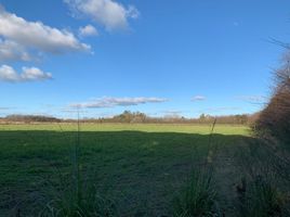  Land for sale in Mercedes, Buenos Aires, Mercedes