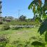  Terreno (Parcela) en venta en Mengwi, Bali, Mengwi, Badung