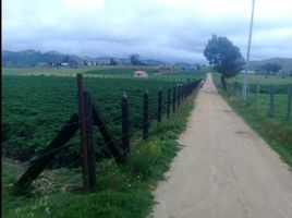  Terreno (Parcela) en venta en Villapinzon, Cundinamarca, Villapinzon