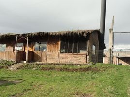 4 Schlafzimmer Haus zu verkaufen in Otavalo, Imbabura, San Juan De Iluman