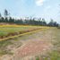  Land for sale in Sayausi, Cuenca, Sayausi