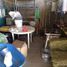  Terreno (Parcela) en venta en Durango, Durango, Durango, Durango