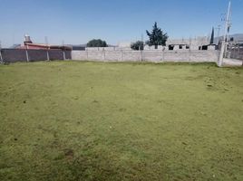  Grundstück zu verkaufen in Temascalapa, Mexico, Temascalapa