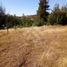  Terreno (Parcela) en venta en Chile, San Javier, Linares, Maule, Chile