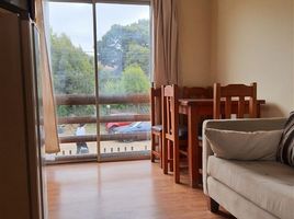 1 Bedroom Condo for rent in Chile, Vina Del Mar, Valparaiso, Valparaiso, Chile