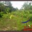  Land for sale in Ubud, Gianyar, Ubud