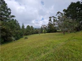 Terrain à vendre à Retiro, Antioquia, Retiro