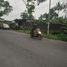  Grundstück zu verkaufen in Sleman, Yogyakarta, Sleman, Sleman, Yogyakarta
