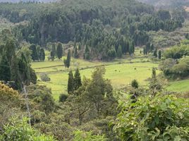  Terreno (Parcela) en venta en Liborina, Antioquia, Liborina