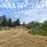  Terreno (Parcela) en venta en Valparaíso, Algarrobo, San Antonio, Valparaíso