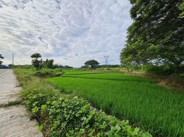  Grundstück zu verkaufen in Cotabato, Soccsksargen, M'Lang, Cotabato