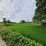  Land for sale in M'Lang, Soccsksargen, M'Lang, Cotabato