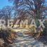  Land for sale in Nombre De Dios, Durango, Nombre De Dios