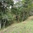  Terrain for sale in San Carlos, Antioquia, San Carlos