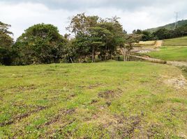  Terrain for sale in San Carlos, Antioquia, San Carlos