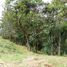  Terrain for sale in San Carlos, Antioquia, San Carlos