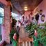 在Tocumen, Panama City出售的5 卧室 屋, Tocumen