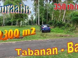  Land for sale in Kerambitan, Tabanan, Kerambitan