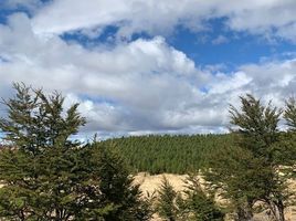  Terreno (Parcela) en venta en Chile, Coihaique, Coihaique, Aisén del General Carlos Ibáñez del Campo, Chile