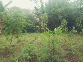  Terreno (Parcela) en venta en Sawangan, West Jawa, Sawangan