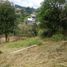  Land for sale in Marinilla, Antioquia, Marinilla