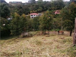  Land for sale in Marinilla, Antioquia, Marinilla