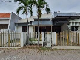 3 Kamar Rumah for sale in Jombang, East Jawa, Jombang, Jombang