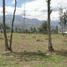  Land for sale in San Roque, Antonio Ante, San Roque