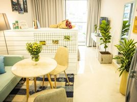 1 Phòng ngủ Chung cư for rent in Phường 4, Quận 4, Phường 4