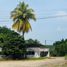  Land for rent in Chinameca, Veracruz, Chinameca