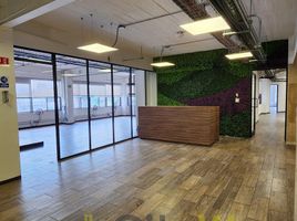 865 m2 Office for rent in Mexico City, Miguel Hidalgo, Mexico City