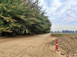  Land for sale in Chacabuco, Santiago, Colina, Chacabuco
